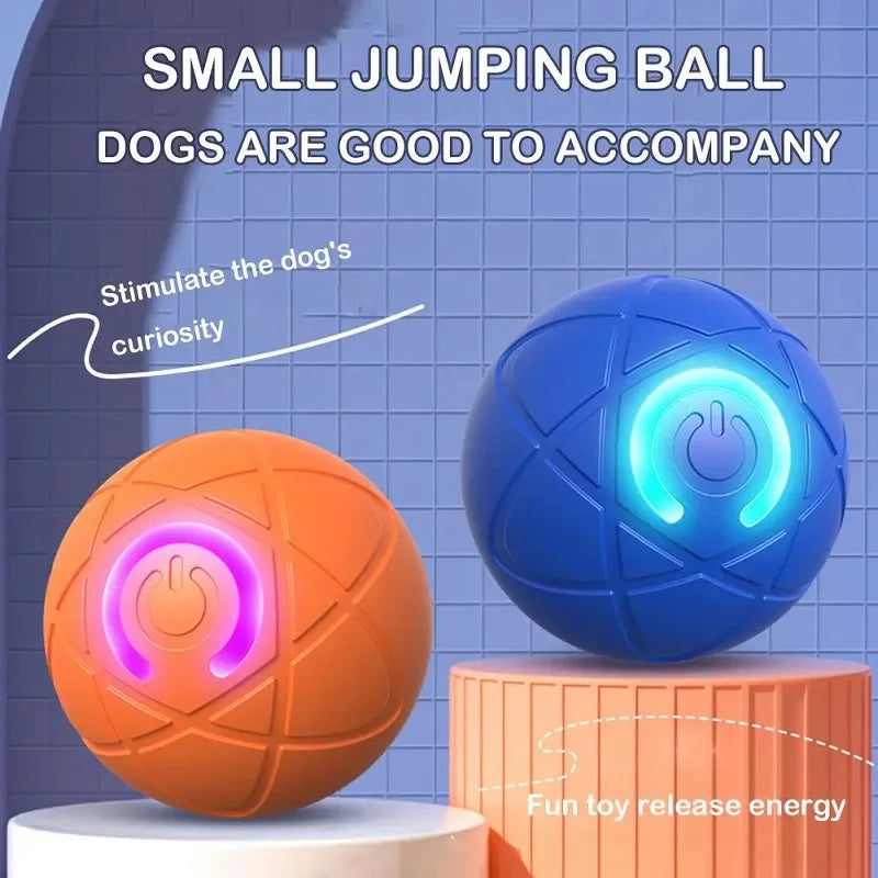 Interactive Rolling Dog Toy Ball