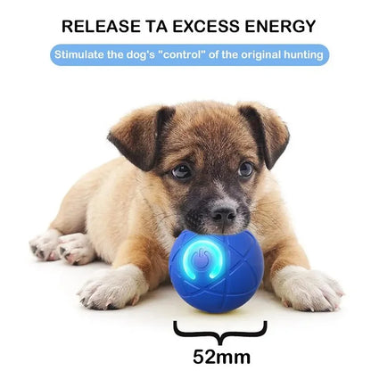 Interactive Rolling Dog Toy Ball